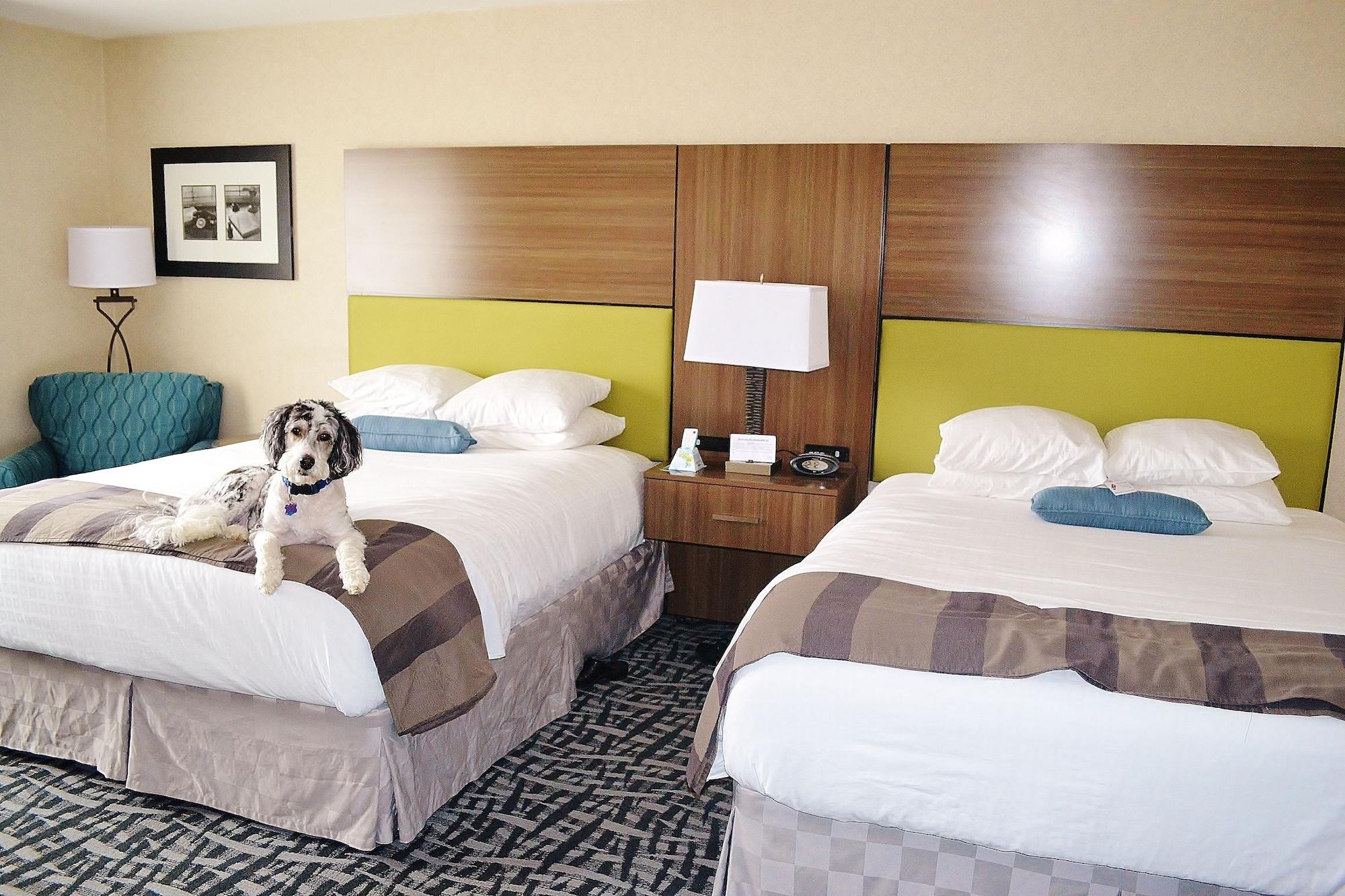 Best Western Dubois Hotel Eksteriør bilde